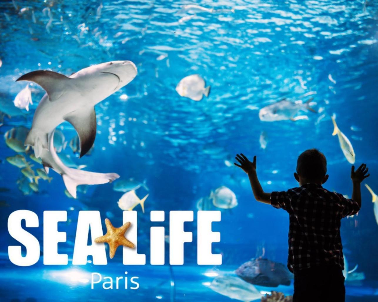 L Eiffel Disney 5Min Paris 35Min Parking Terrasse Serris Exterior foto